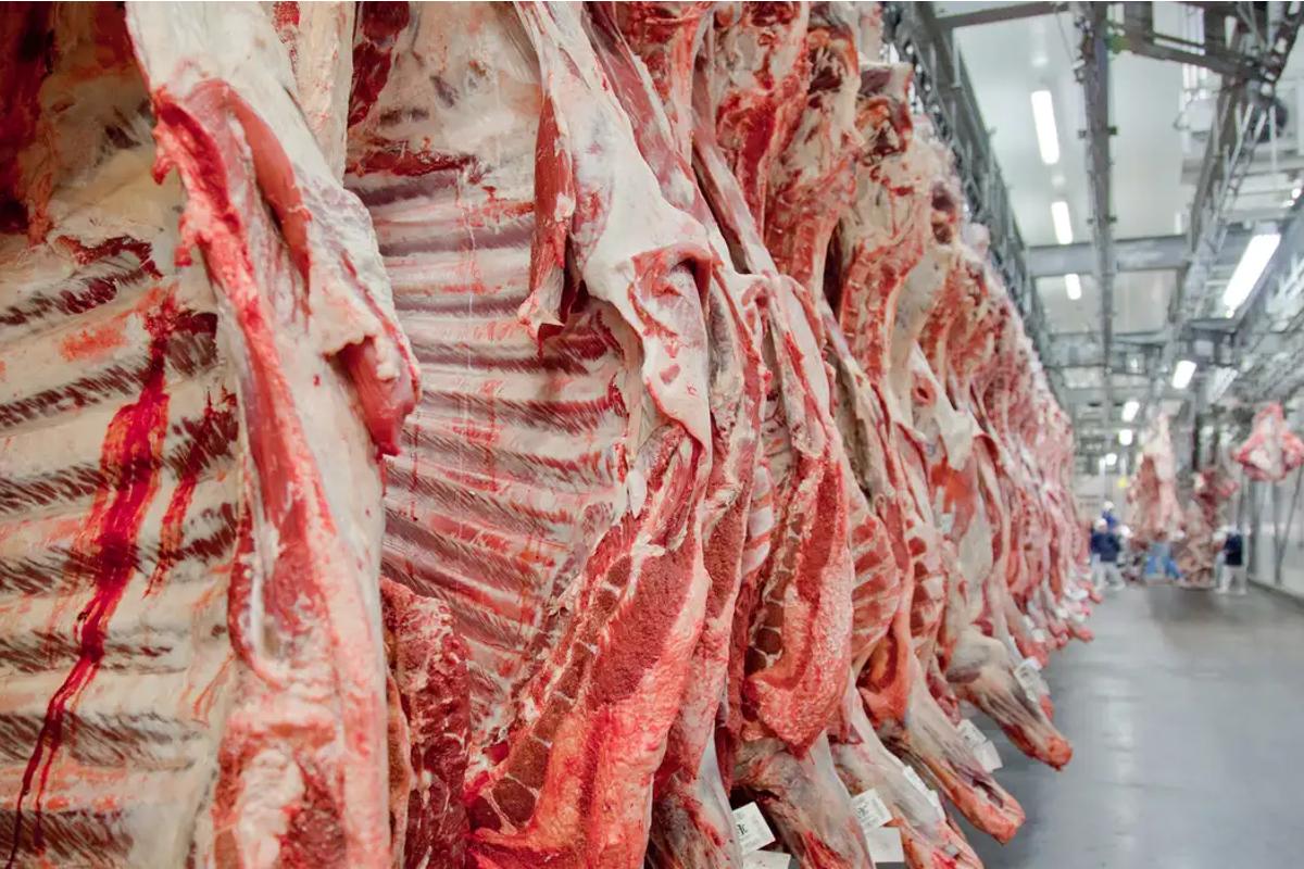 Bom dia Mercado carne-frigorificos-abiec