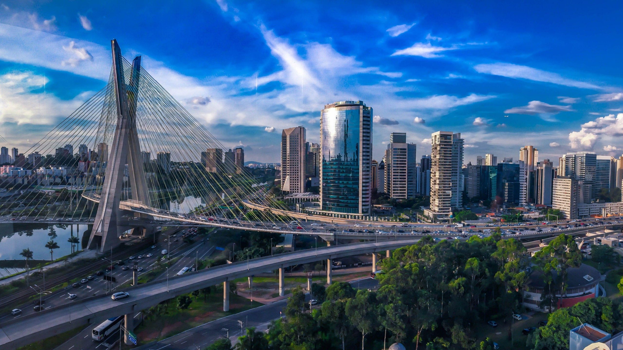 Bom dia Mercado SaoPaulo