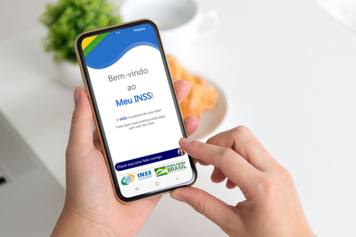 Bom dia Mercado consulta-ao-bpc